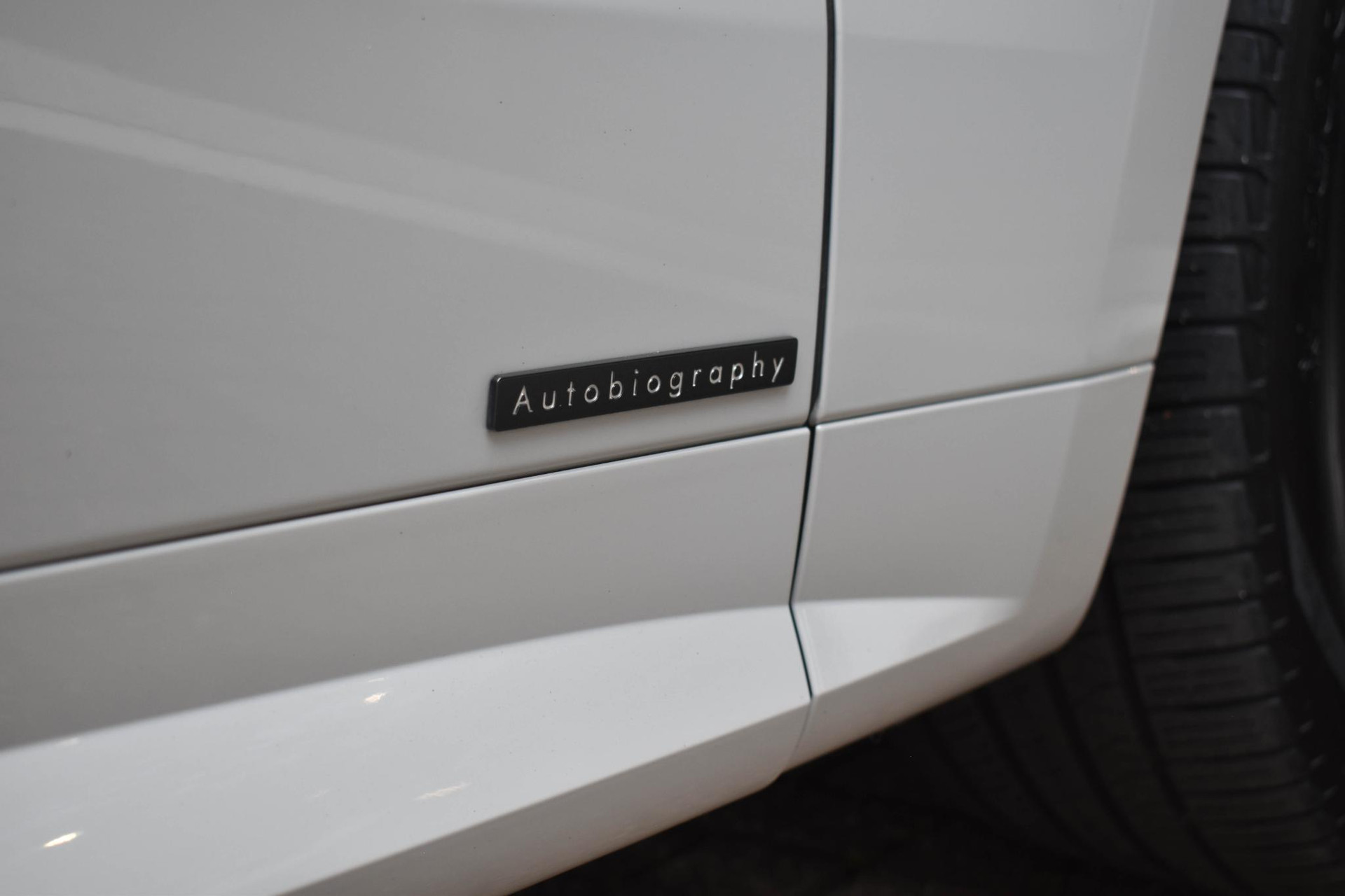 46466180-53.jpg