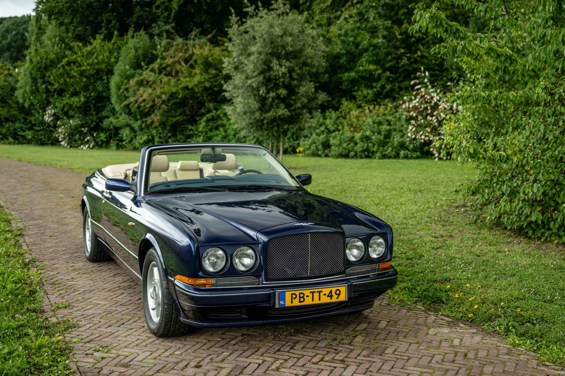 46947268-3.jpg