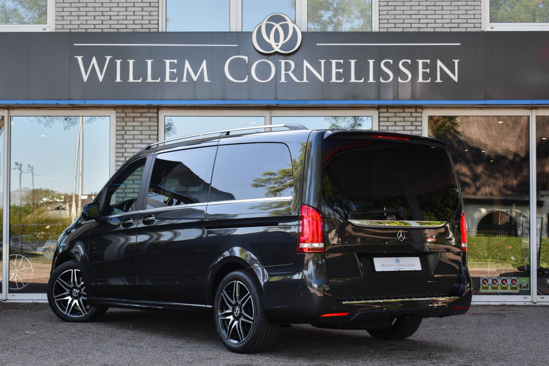 53294889-3.jpg