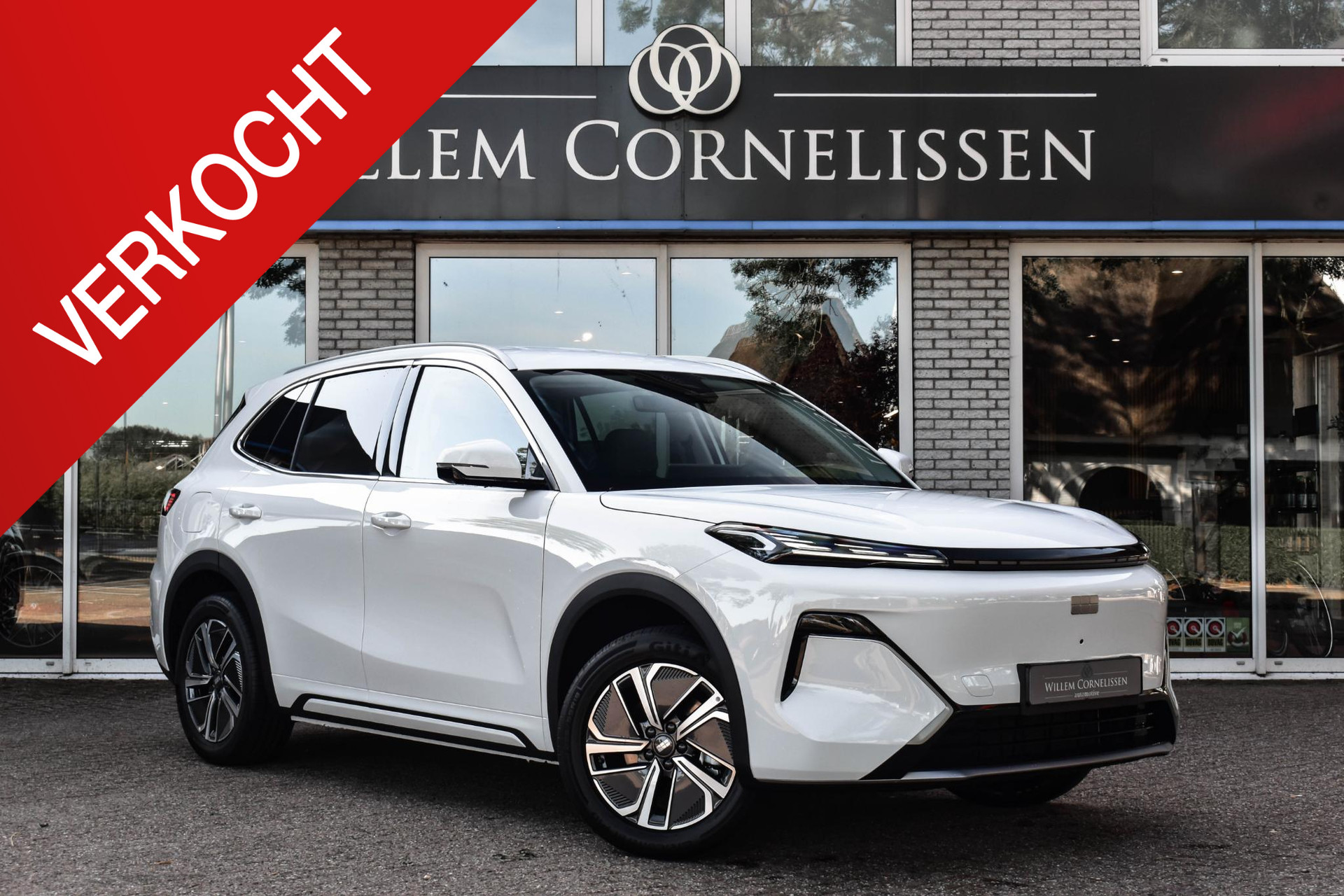 54654632-57.jpg